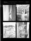 Tobacco feature (4 Negatives) (July 3, 1954) [Sleeve 8, Folder d, Box 4]